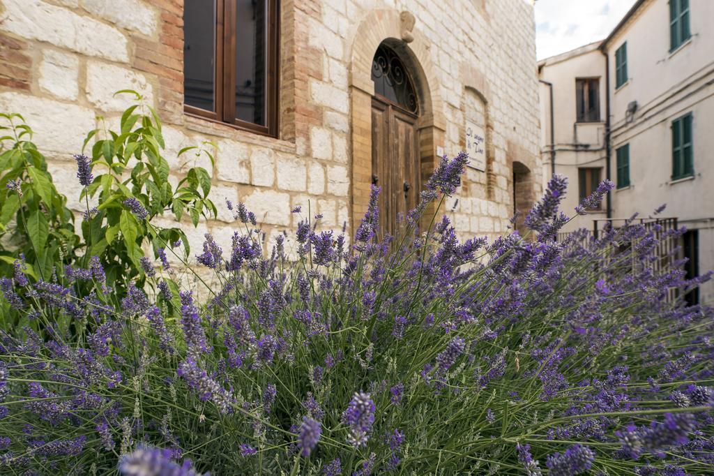Cabernardi Il Sogno Di Tinoヴィラ エクステリア 写真